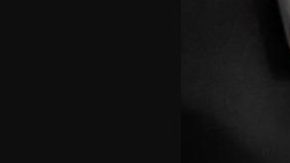 El cerebro decomisado.