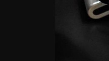 El cerebro decomisado.