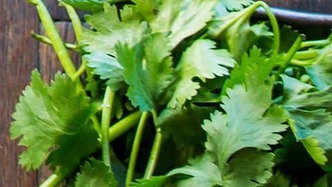 El ceviche tradicional es uno de los platos típicos del restaurante Pisco y Nazca.