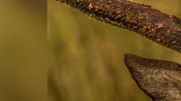 El hombre iba acompañado de su esposa cuando ocurrió el ataque.