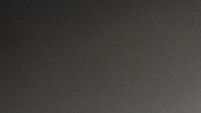 Las moscas lo molestaban y así se las quitó de encima.