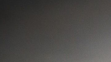 Las moscas lo molestaban y así se las quitó de encima.