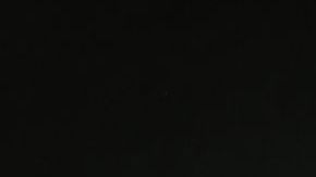 El repollo es considerado uno de los vegetales con mayor aporte en antioxidantes.