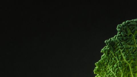 El repollo es considerado uno de los vegetales con mayor aporte en antioxidantes.