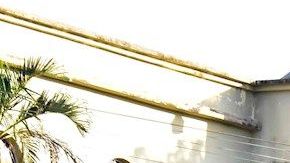 Comando rescata al Porky líder de Mara Salvatrucha y mata a 4 policías