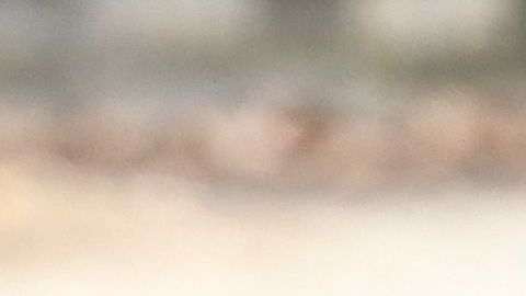 Georgina y Cristiano hacen una pareja hermosa.