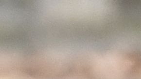 Hacen una pareja hermosa.