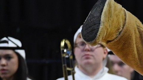 Ha demostrado que puede desafiar las leyes de loa física.