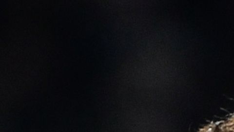 Cristiano Ronaldo no tendrá quien aplauda sus goles.