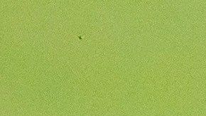 Cruz Azul está sumergido en una crisis de la que parece no quieren salir sus directivos.