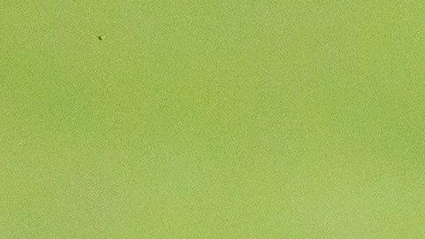 Cruz Azul está sumergido en una crisis de la que parece no quieren salir sus directivos.