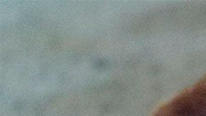 El joven no pudo de comer por miedo a entrar a la cocina y encontrarse al bicho.