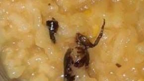 El Ministerio de Educación (Minerd) investiga el hallazgo.