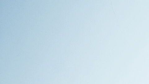 El uso semanal de un acondicionador de hidratación profunda y de un bloqueador solar para el cabello ayuda a tener una melena fuerte y saludable durante los días de sol y calor.