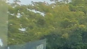 Inauguración de la "primera" oficina de campaña presidencial del demócrata Michael Bloomberg