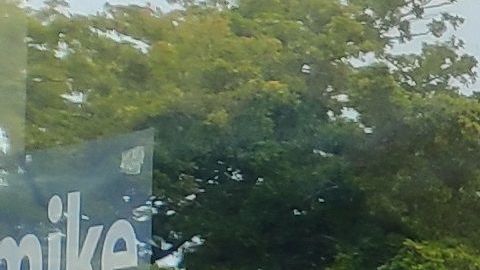 Inauguración de la "primera" oficina de campaña presidencial del demócrata Michael Bloomberg