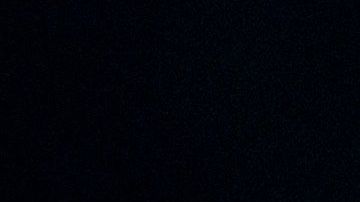 Joe Biden tomó a su favor los argumentos de la republicana.