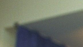 El Día del Gato se celebra cada 20 de febrero en honor a Socks, el gato que viviera en la Casa Blanca con la familia Clinton.