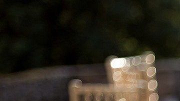 Habían contratado al autobús para acudir a la boda.