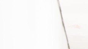 Deportados llegan a Guadalajara.