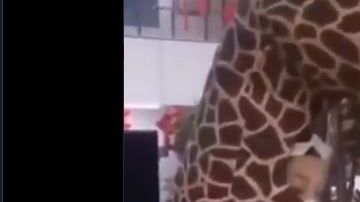 La mujer creyó que con esto, tendría doble protección.