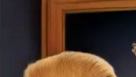 En junio de 2018, la revista 'TIME' hizo referencia a que el presidente Trump se siente rey.