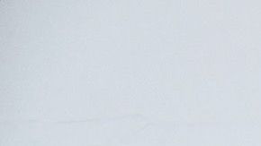 Shields conquistó los títulos de peso medio del CMB, AMB, FIB y OMB al derrotar a Christina Hammer, en 2019.