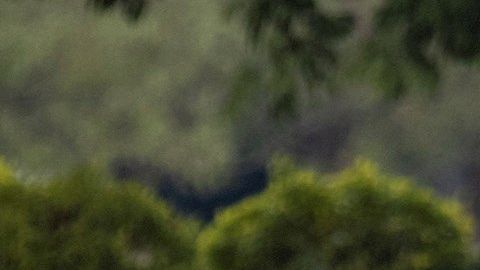 Una joven usa cubrebocas mientras monta en patineta en China.