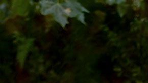 La escuela no pidió permiso a la empresa, por lo que ahora se enfrenta a esta multa.