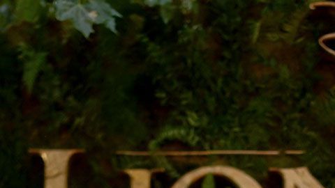 La escuela no pidió permiso a la empresa, por lo que ahora se enfrenta a esta multa.