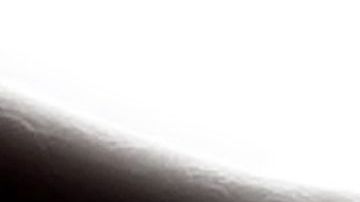 Un año de elecciones puede afectar el mercado inmobiliario.