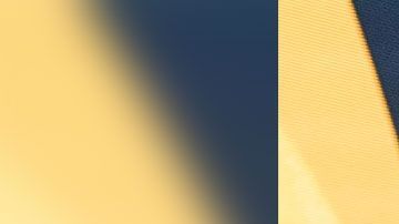 Musk posee aproximadamente el 19% de las acciones de Tesla.