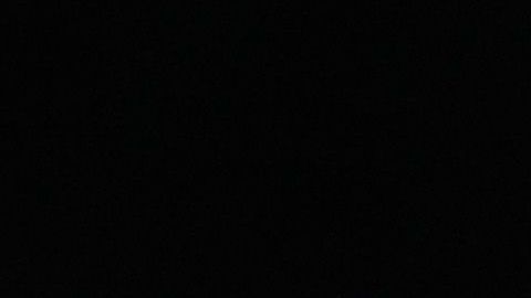 Emme y Max son los mellizos de Marc Anthony y JLo.