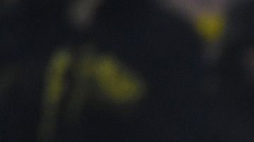 En 59 minutos, jugando en la Bundesliga, ya lleva cinco tantos.