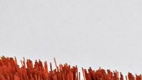 La escoba es gran aliada para el aseo de la casa, pero casi nadie sabe cómo limpiarla.