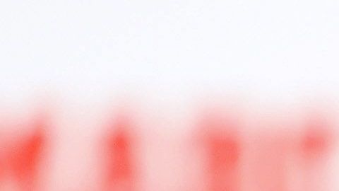 Luis Suárez y su esposa Sofia Balbi.