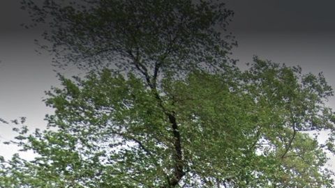 Estación 5ta Avenida-59th St