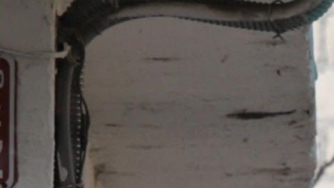 En Tepeojuma, muchos dependen de las remesas que envían sus familiares.