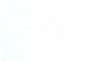 Los trabajadores de los Oscars tuvieron que limpiar el excedente de agua durante el arranque de la alfombra roja.