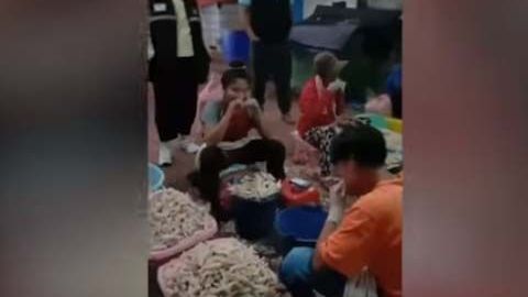 El controvertido video fue filmado por los funcionarios de higiene del consejo local.