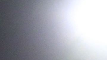 Will Ferrell apoyando a LAFC.