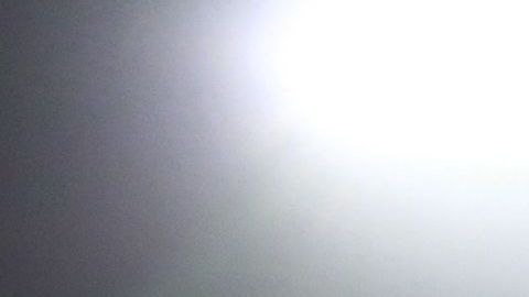 Will Ferrell apoyando a LAFC.