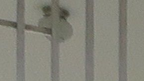 Muchos negocios en el suroeste de Puerto Rico están paralizados.