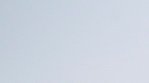 La Casa Blanca nunca se ha pronunciado sobre la manera correcta de escribir el día feriado.