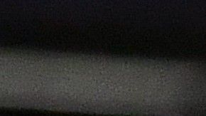 Los jugadores del PSG saben divertirse sin importar las circunstancias.