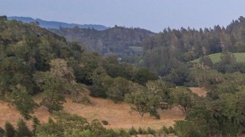 Finca del dueño de Kansas City Chiefs. / Crédito: PR Photography - Cortesía: Compass