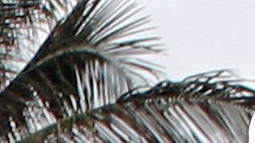 Florida es una de las ciudades más atractivas para vivir.