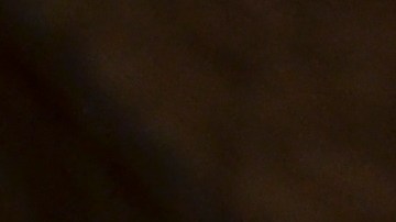 El líder del pleno del Concilio Municipal de Chicago, Carlos Ramírez Rosa, y presidente del Comité de Zonificación, Monumentos y Estándares de Construcción anunció su renuncia tras ser acusado de intimidar a la concejal del Distrito 37, Emma Mitts, antes de una votación relacionada con el estatus de Ciudad Santuario.