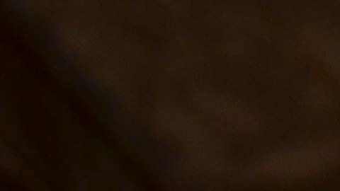 El líder del pleno del Concilio Municipal de Chicago, Carlos Ramírez Rosa, y presidente del Comité de Zonificación, Monumentos y Estándares de Construcción anunció su renuncia tras ser acusado de intimidar a la concejal del Distrito 37, Emma Mitts, antes de una votación relacionada con el estatus de Ciudad Santuario.