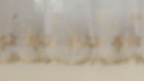 Las donaciones de la comunidad latina disminuyeron en los últimos meses.